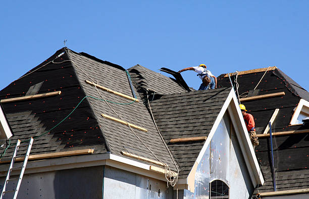 Best Gutter Installation and Roofing  in Mountlake Terrace, WA