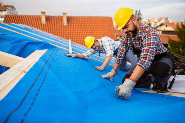 Roof Repair Estimates in Mountlake Terrace, WA