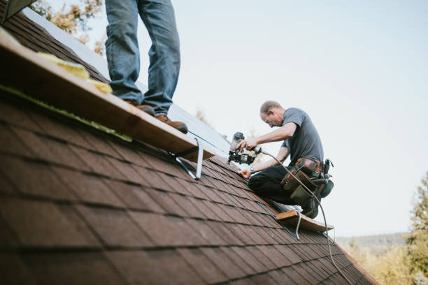 Professional Roofing Contractor in Mountlake Terrace, WA